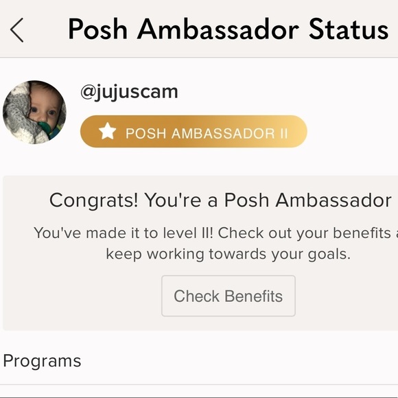 POSH AMBASSADOR 11 - Picture 2 of 14